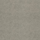 Forbo Linen High Performance Carpet Sheet S203049-250363 Flotex Code (78.74