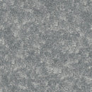 Forbo Driftwood High Performance Carpet 055119-224629 Flotex Harmony Ballet 10