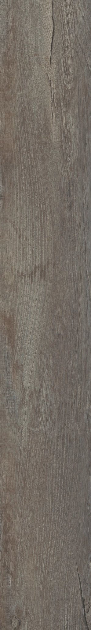 COREtec Galveston Oak SPC Vinyl Plank Flooring VV017-01002 LVP Pro Classics 7" x 48" (28.84 SF/Box)