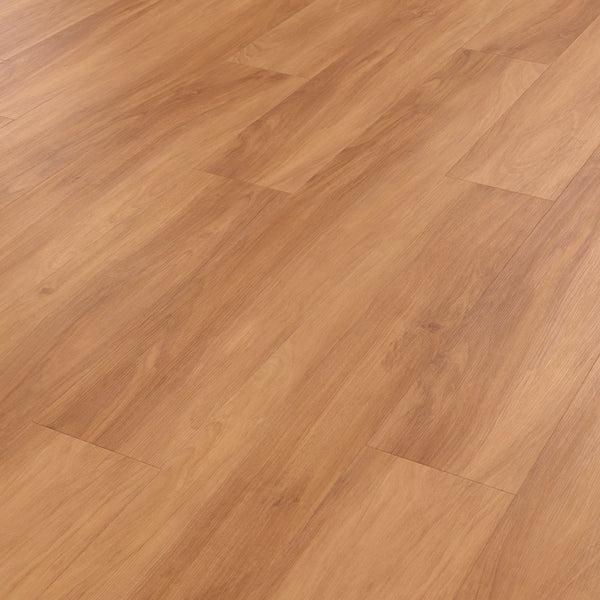 jatoba--scb42--