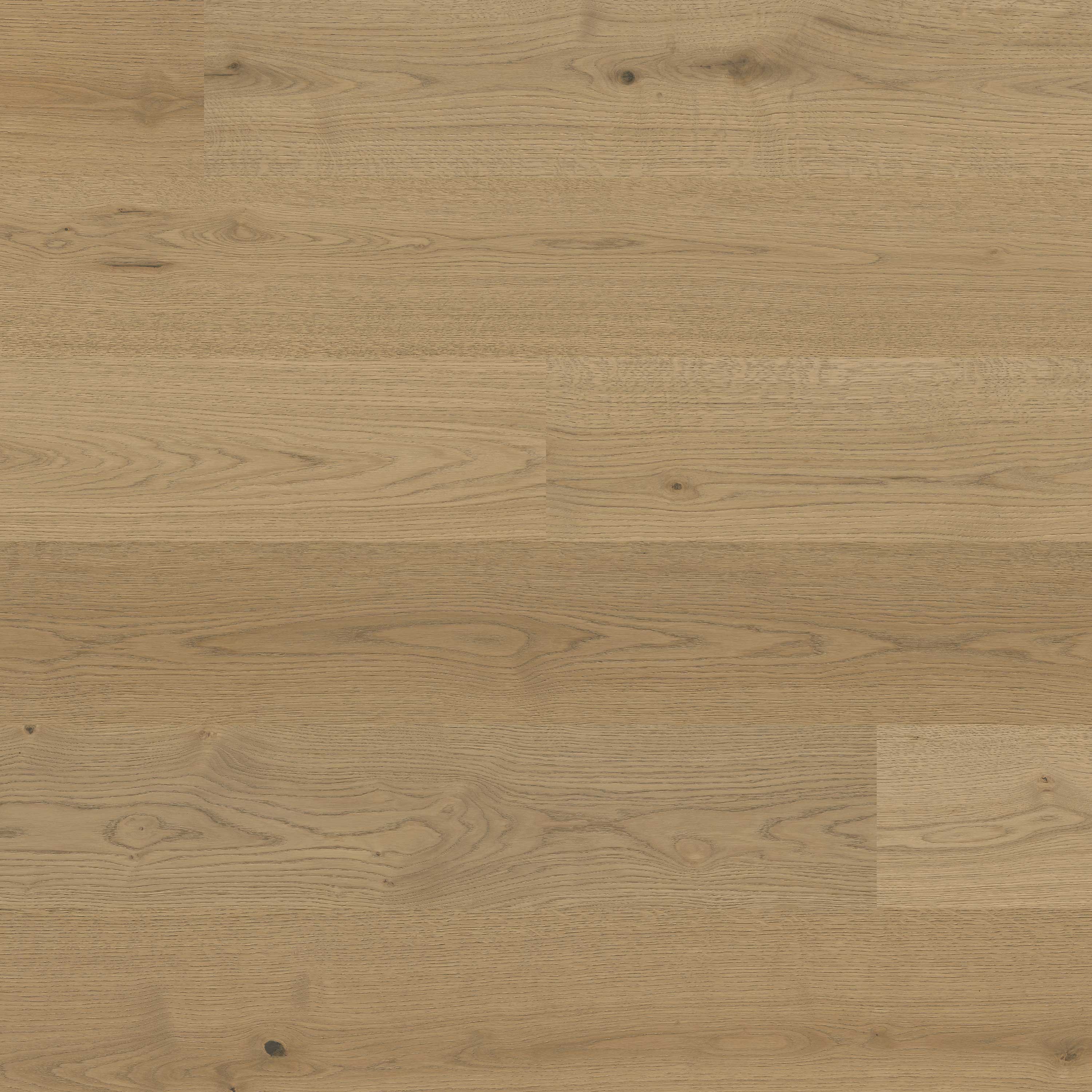 MSI Ladson Adriel Oak 7.5" x 75" Random Length Engineered Hardwood