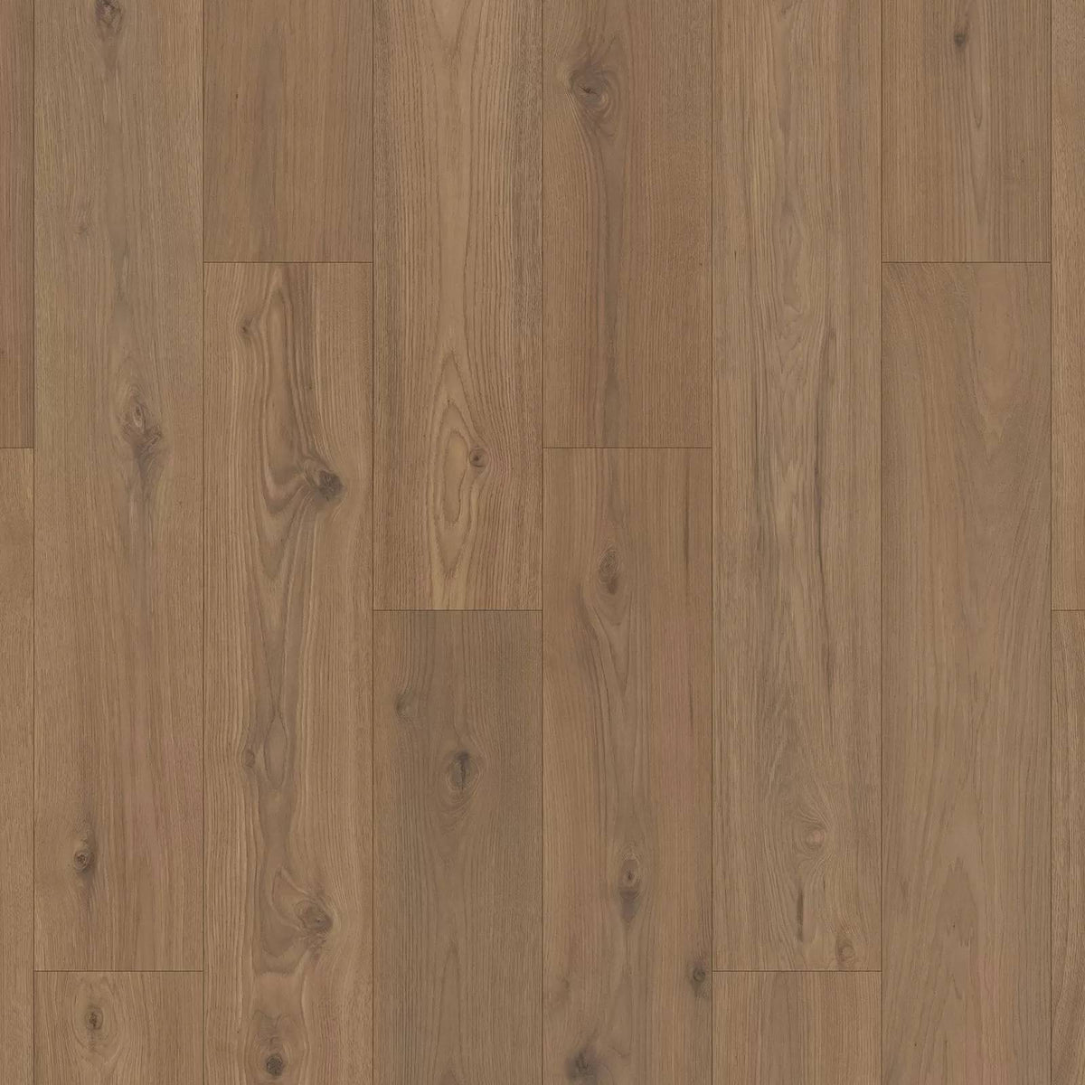Pergo Elements Ultra Freywood Springs PSR19-258 Hazelnut Hickory Laminate Plank (Partial Piece - Sample)