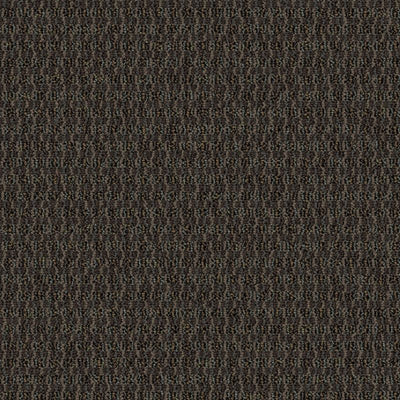 Aladdin Define Implore QA128-883 Adjure 24" x 24" Carpet Tile (96 SF/Box)