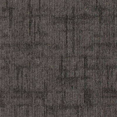 Aladdin Monumental Effect Captured Idea QA202-979 Seal 24" x 24" Carpet Tile (96 SF/Box)