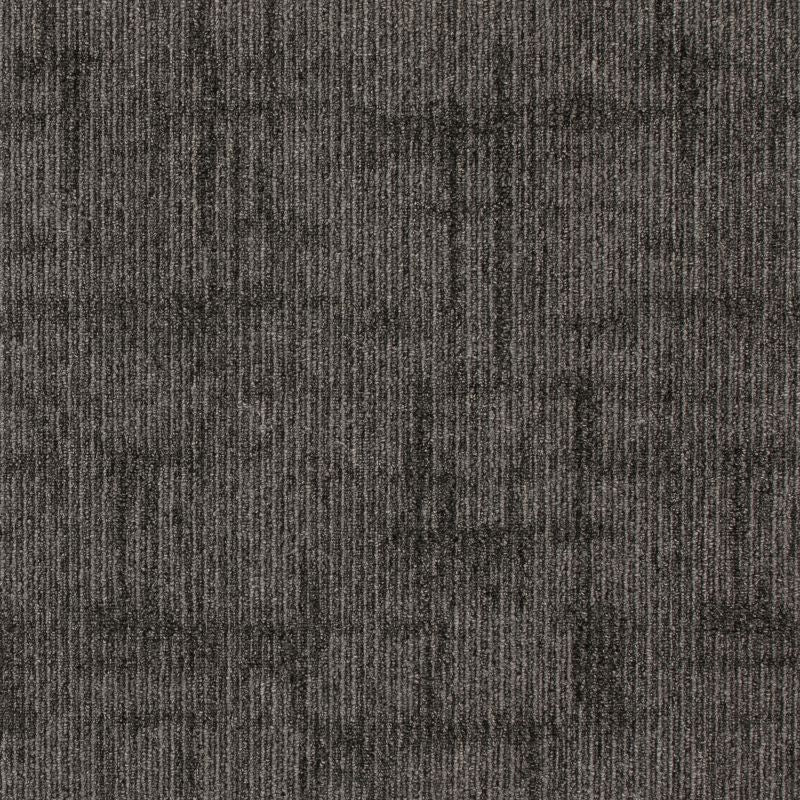 Aladdin Captured Idea Carpet Tile QA202-979 Seal 24" x 24"