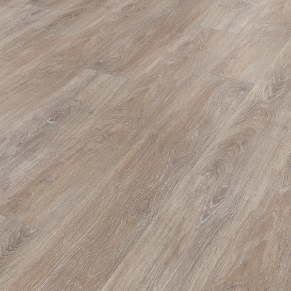 rcp6534-limedcoastaloak-