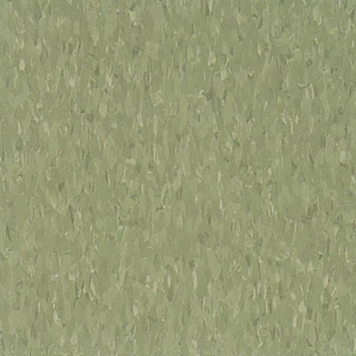 AHF Iliad Highlights AHFHR011031 Green Olive 12" x 12" VCT Tile (45 SF/box)