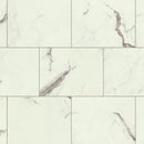 Karndean Korlok Select Brunella Marble RKT3013-G White Stone Tile (Partial Piece - Sample)