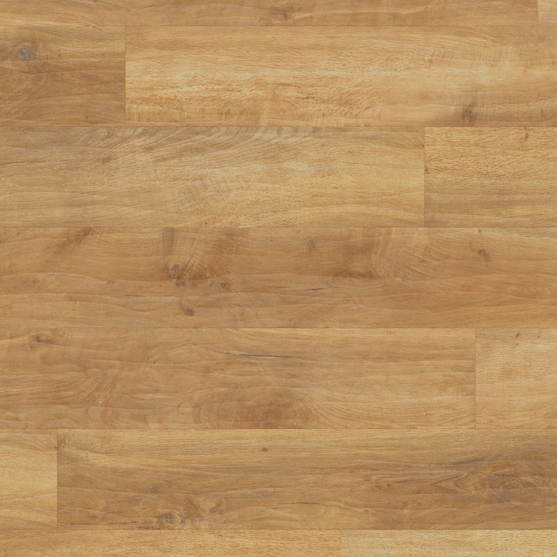 Karndean Art Select RL01 Spring Oak Floor Tile (Partial Piece - Sample)