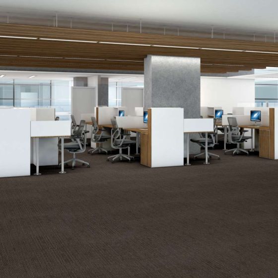 Shaw Native 54963-00700 Essential 24" X 24" Carpet Tile (80 SF/Box)