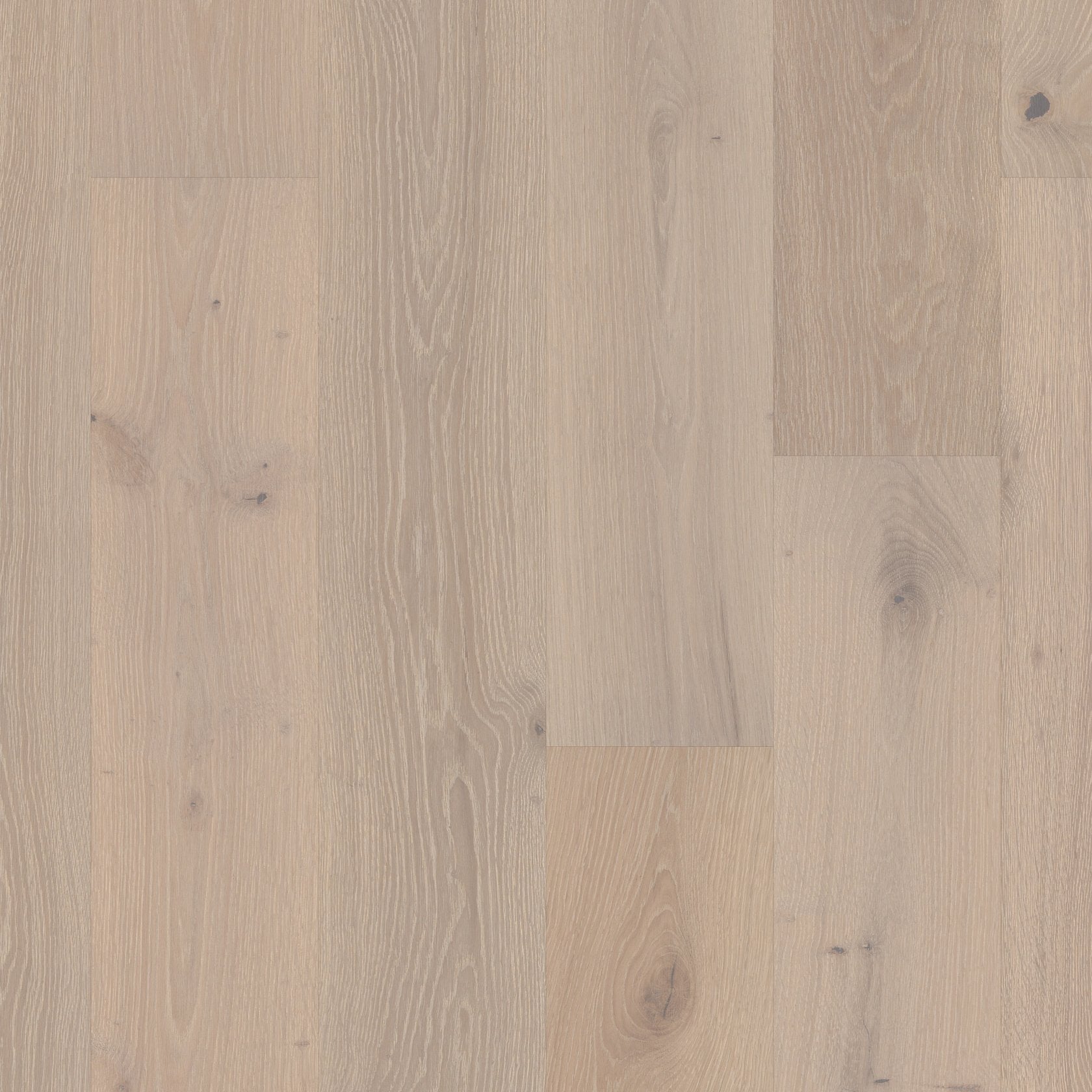 Shaw Castlewood Oak SW485-01075 Knight