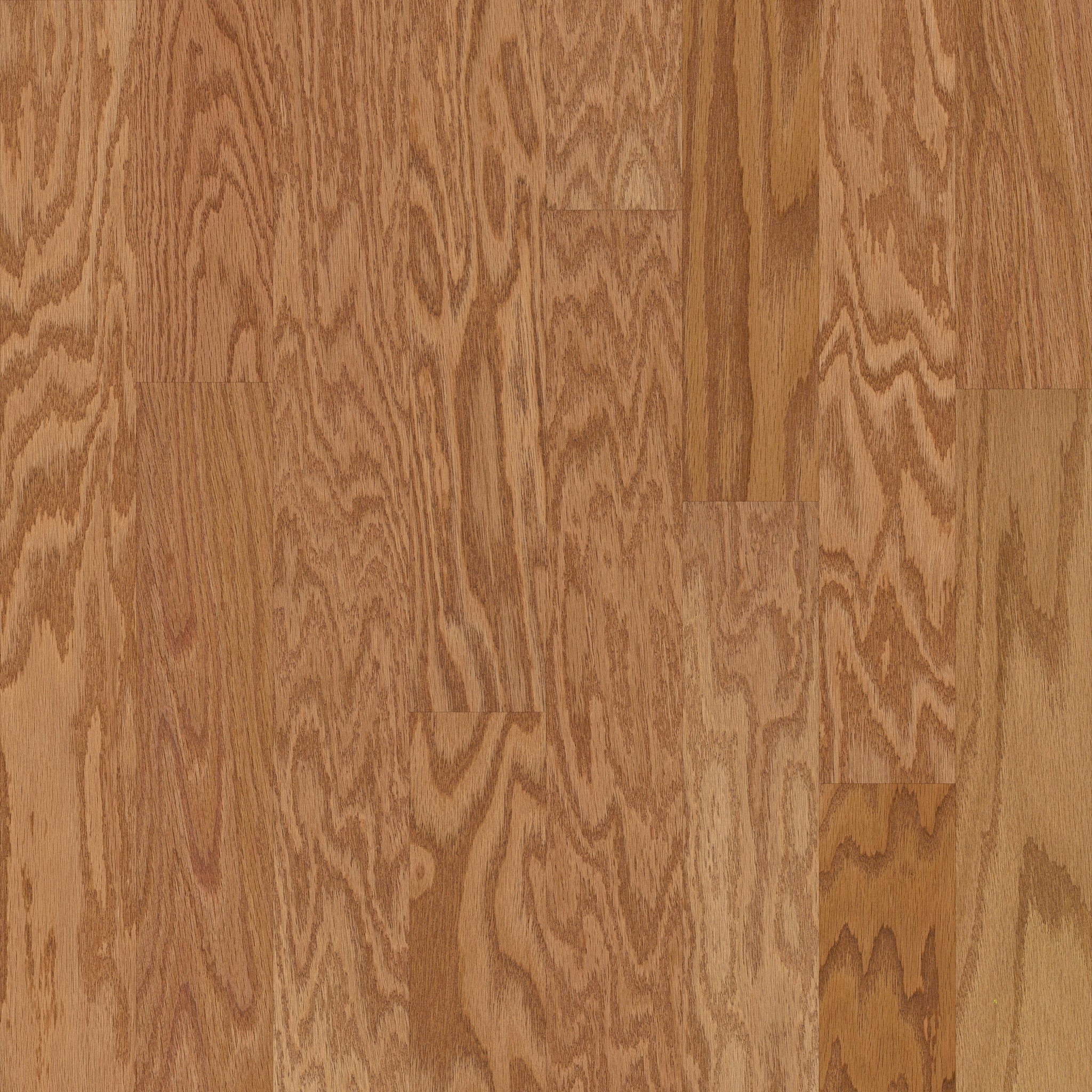 Shaw Albright Oak 3.25 Caramel SW581-00223 3.25" x Multi (23.76 SF/Box)
