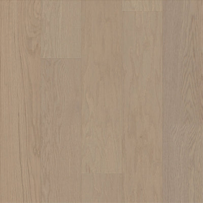 Shaw Sanctuary Oak SW714-01089 Haven 6.38" x Random Size Random Lengths up to 58.56" Hardwood (25.4 SF/Box)