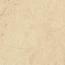 Forbo Calico Linoleum T2713-156196 Marmoleum Modular Tile (Partial Piece - Sample)