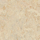 Forbo Rosato Linoleum T3120-156356 Marmoleum Modular Tile (Partial Piece - Sample)