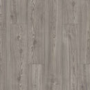 Shaw Paladin Plus Fresh Pine 0278V-05052 7.08