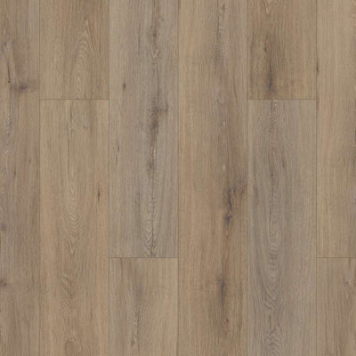 Shaw Paladin Plus Wild Dunes 0278V-07089 7.08" x 48.03" Luxury Vinyl Plank (18.91 SF/Box)
