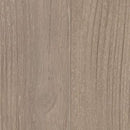 Shaw Floorte Pro Endura Plus 0736V-02083 Simple Wash 7