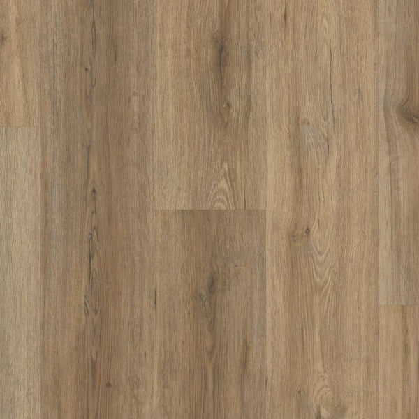 【新品同様】TERRYWOOD PMQ07LAV1.jpg