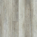 Shaw Floorte Pro Paragon 5