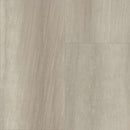 Shaw Paragon Tile Plus 1022V-01008 Ash 12.00