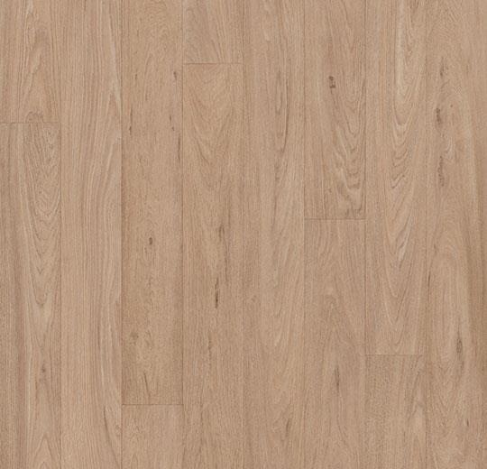 Forbo 10432 Grey Washed Oak (Partial Piece - Sample)