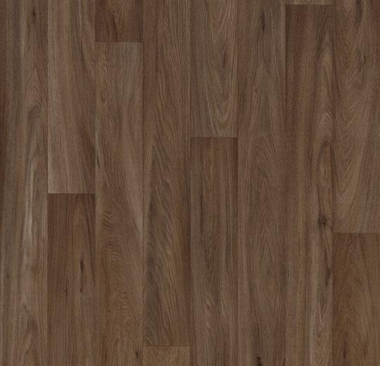 Forbo 10452 Dark Oak (Partial Piece - Sample)