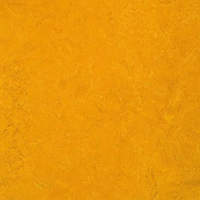 Forbo Golden Sunset Linoleum Sheet 3125-10637 MCS (79" Width)
