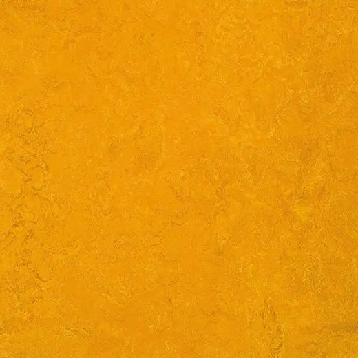 Forbo MCS Sheet Linoleum 3125 2 mm Golden Sunset