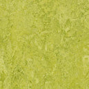 Forbo MCS 2.0 3224 Chartreuse Linoleum Sheet (79