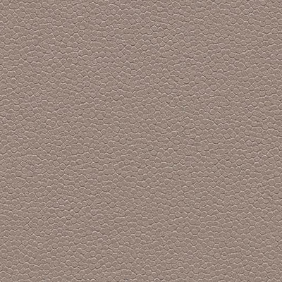 Forbo Taupe Slip Resistant Sheet Vinyl 180232 Eternal Step Aqua SR (79" Width)