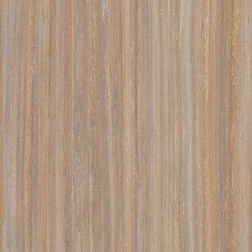 Forbo Marmoleum Modular Tile T5225 Compressed Time 9.84" x 39.37" Linoleum Tile Flooring