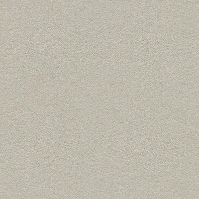 Forbo Bulletin Board Linoleum 2206 Oyster Shell Linoleum Sheet (48" Width)