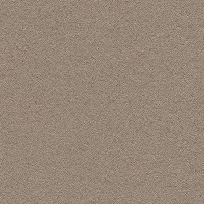 Forbo Bulletin Board Linoleum 2208 Mushroom Medley Linoleum Sheet (48" Width)