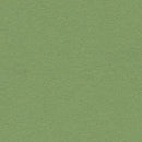 Forbo Bulletin Board Linoleum 2213 Baby Lettuce Linoleum Sheet (48