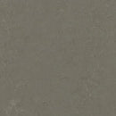 Forbo Marmoleum Concrete 3723 Nebula Linoleum Sheet Flooring (79