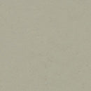 Forbo Marmoleum Concrete 3724 Orbit Linoleum Sheet Flooring (79