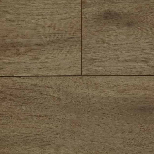 audacity elegance sherwood 5011768