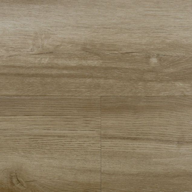 audacity elegance bordeaux 5011791