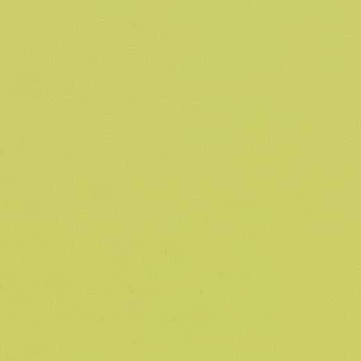Forbo Furniture Linoleum 4182 Spring Green Linoleum Sheet