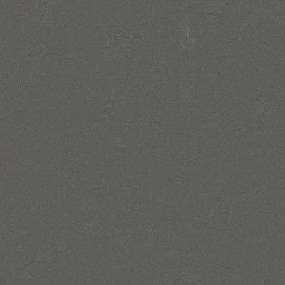 Forbo Solid Walton 3368 Grey Iron Linoleum Sheet Flooring (79" Width)
