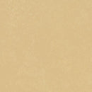 Forbo Marmoleum Concrete 3726 Venus Linoleum Sheet Flooring (79