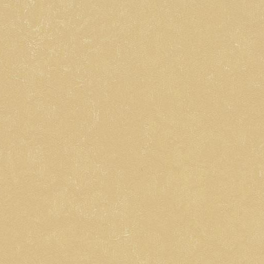 Forbo Marmoleum Concrete 3726 Venus Linoleum Sheet Flooring