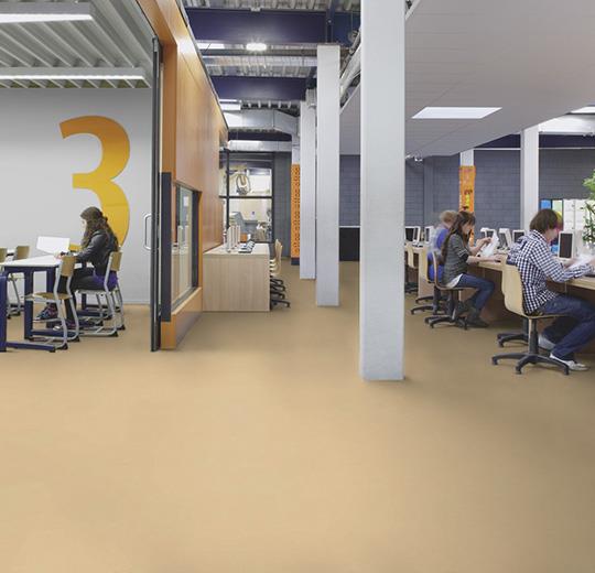 Forbo Marmoleum Solid Concrete 3726 Venus Linoleum Flooring