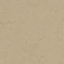 Forbo Marmoleum Concrete 3728 Kaolin Linoleum Sheet Flooring (79