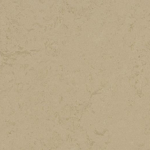 Forbo Marmoleum Concrete 3728 Kaolin Linoleum Sheet Flooring