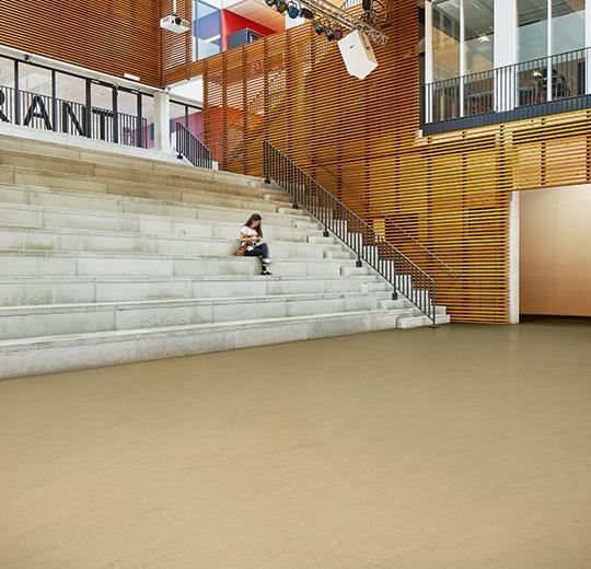 Forbo Marmoleum Solid Concrete 3728 Kaolin Linoleum Flooring