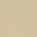 Forbo Marmoleum Concrete 3729 Mica Linoleum Sheet Flooring (79