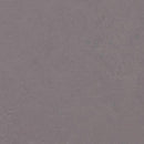 Forbo Marmoleum Concrete 3730 Stella Linoleum Sheet Flooring (79