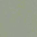 Forbo Marmoleum Concrete 3736 Green Shimmer Linoleum Sheet Flooring (79